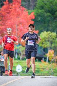 BIB: 8285
                            <button type="button" onclick="openModal(19239099)" class="btn btn-primary btn-sm float-right btn-popup" data-toggle="modal" data-target=".modal-high-quality">
                        <i class="fas fa-shopping-cart"></i> Add to Cart
                    </button>
                                            <button type="button" onclick="isThisMe(19239099, true)" class="btn btn-success btn-sm float-right btn-popup btn-isme hidden" data-toggle="tooltip" data-placement="bottom" title="นี่คือรูปของคุณใช่ไหม คลิกที่นี่เพื่อเอาเข้าอัลบั้ม">
                        <i class="fas fa-plus"></i> Add to album
                    </button>
                    <button type="button" onclick="isThisMe(19239099, false)" class="btn btn-warning btn-sm float-right btn-popup btn-isnotme hidden">
                        <i class="fas fa-ban"></i> Remove from album
                    </button>